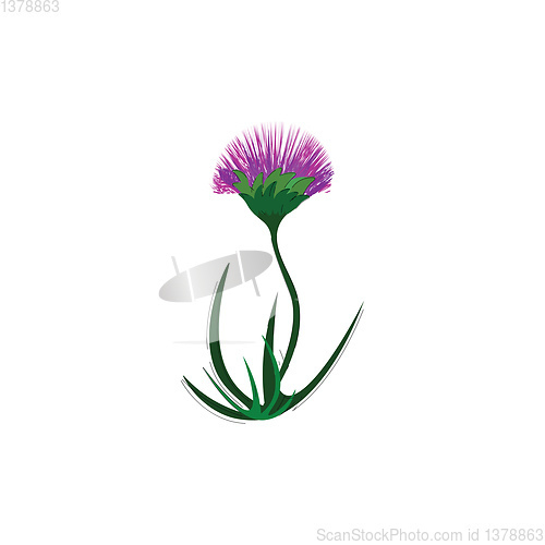 Image of A purple flower vector or color illustration