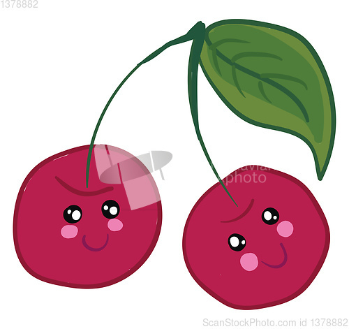 Image of Pair of cute red cherries vector or color illustration