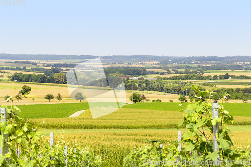 Image of winegrowing scenery in Hohenlohe