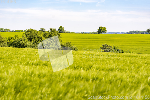 Image of rural landscape at spring time