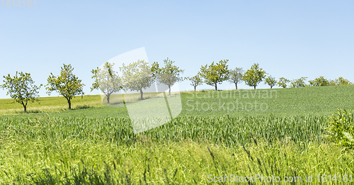 Image of idyllic spring time scenery