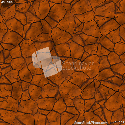 Image of Cracked earth