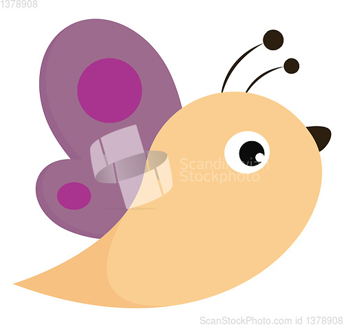 Image of A cute little purple butterfly vector or color illustration