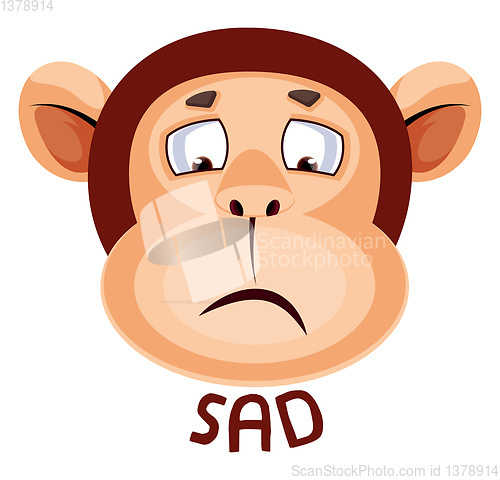 Image of Monkey is sad, illustration, vector on white background.