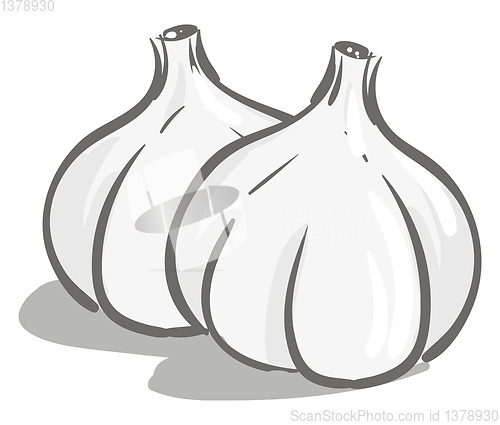 Image of Simple vector illustration of two white garlics on white backgro