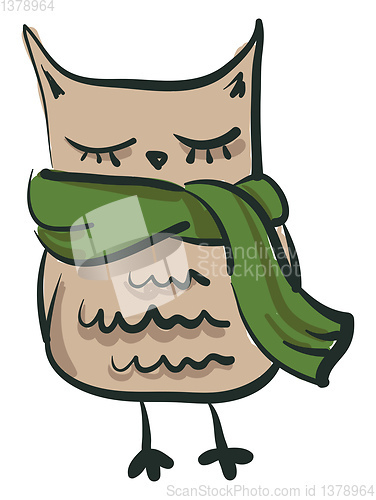 Image of An owl wearing muffler vector or color illustration