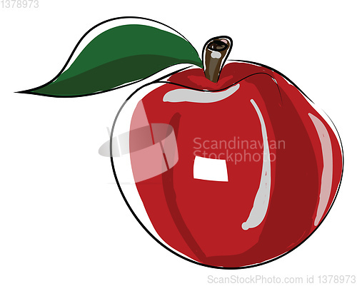 Image of A freshly plucked red apple from the orchid vector color drawing