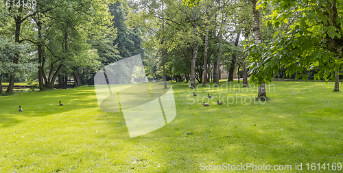 Image of idyllic park scenery