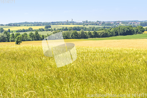 Image of rural scenery in Hohenlohe