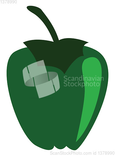 Image of A fresh green pepper to make a spicy dish vector color drawing o