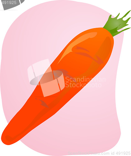 Image of Carrot illustration