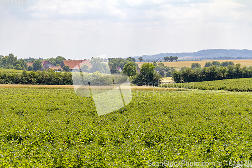 Image of agricultural scenery in Hohenlohe