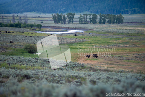 Image of The sun setting over the Lamar Valley near the northeast entranc