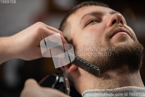 Image of Close up of client of master barber, stylist during getting care of mustache and beard. Professional occupation, male beauty concept