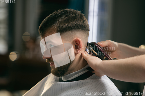 Image of Close up of client of master barber, stylist during getting care of hairstyle. Professional occupation, male beauty concept