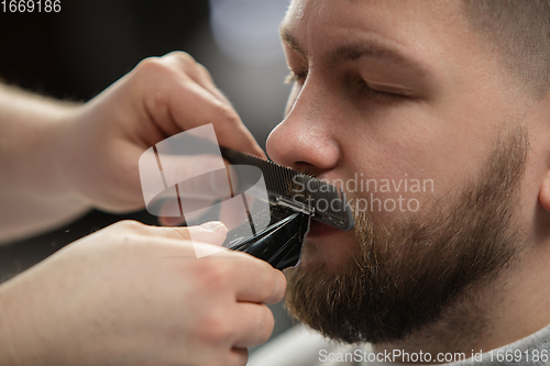 Image of Close up of client of master barber, stylist during getting care of mustache and beard. Professional occupation, male beauty concept