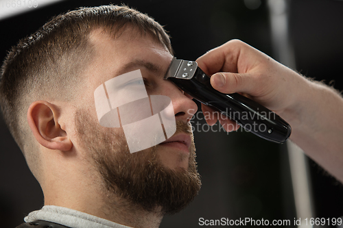 Image of Close up of client of master barber, stylist during getting care of hairstyle. Professional occupation, male beauty concept