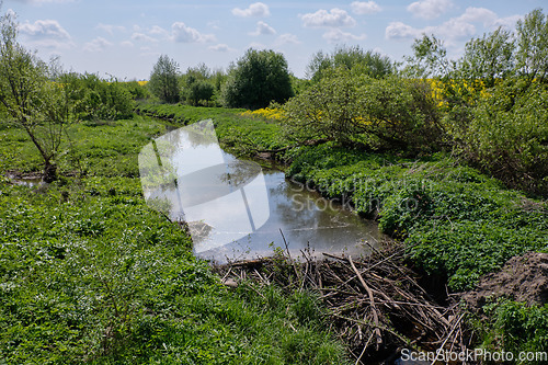 Image of Small river with beavers dam