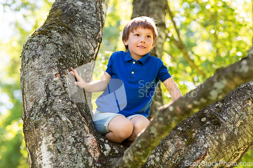 Image of happy little boy climbing tree at park