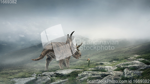 Image of Dinosaur huge higth walking through the jungle, foggy mountains comes across little shocked boy