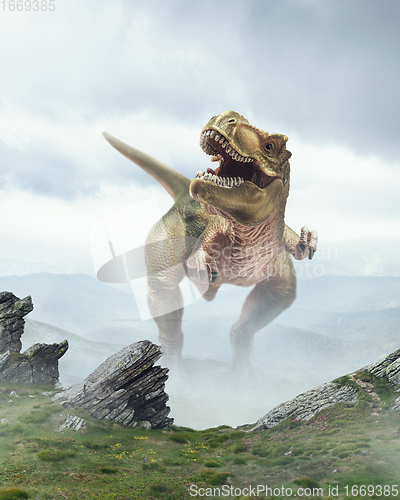 Image of Dinosaur huge higth walking through the jungle, foggy mountains