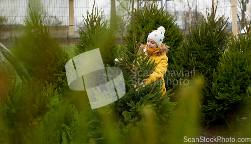 Image of little girl choosing christmas tree at market
