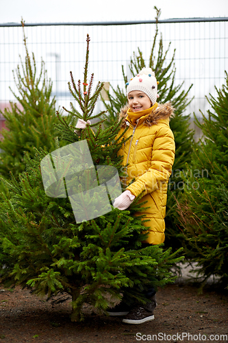 Image of little girl choosing christmas tree at market