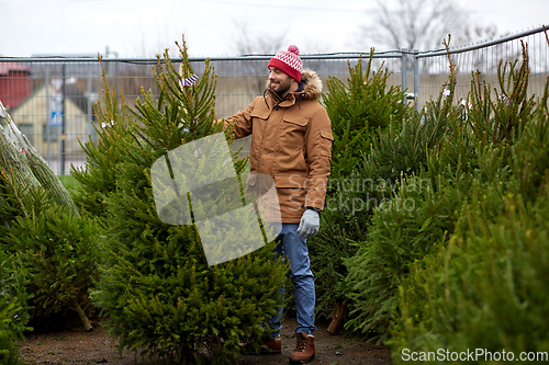 Image of happy man choosing christmas tree at market