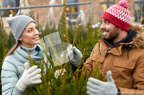 Image of happy couple buying christmas tree at market