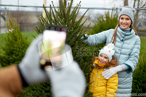 Image of family taking picture of christmas tree at market