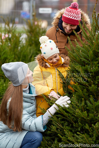 Image of happy family choosing christmas tree at market