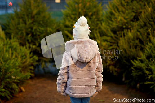 Image of little girl choosing christmas tree at market