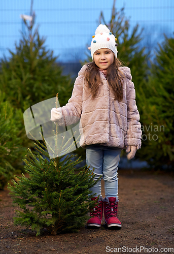 Image of little girl choosing christmas tree at market