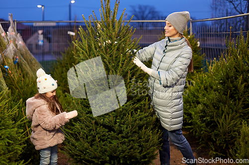 Image of happy family choosing christmas tree at market