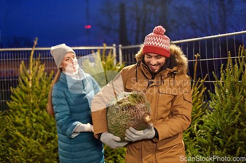 Image of happy couple buying christmas tree at market