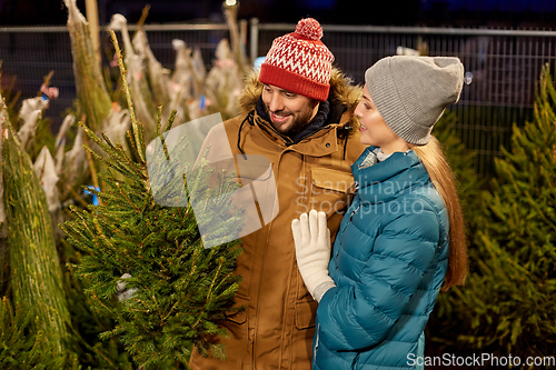 Image of happy couple buying christmas tree at market