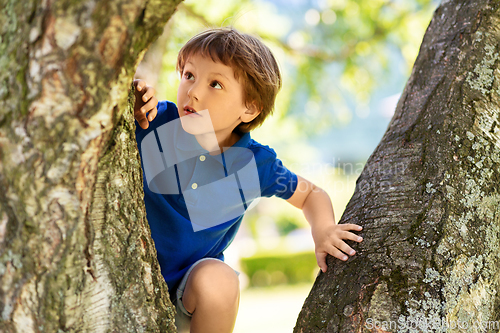 Image of happy little boy climbing tree at park