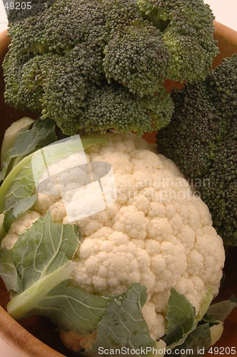 Image of broccoli cauliflower 259