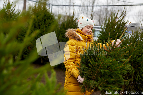 Image of little girl choosing christmas tree at market