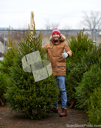 Image of happy man buying christmas tree at market