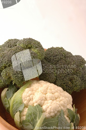Image of broccoli cauliflower 262