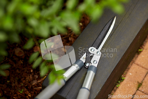 Image of close up of pruner or pruning shears at garden