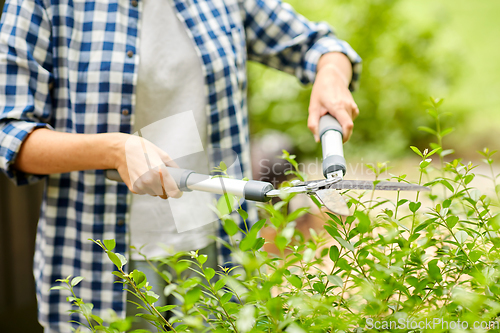 Image of woman with pruner cutting branches at garden