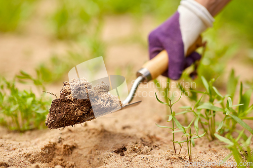 Image of hand digging flowerbed ground with garden trowel