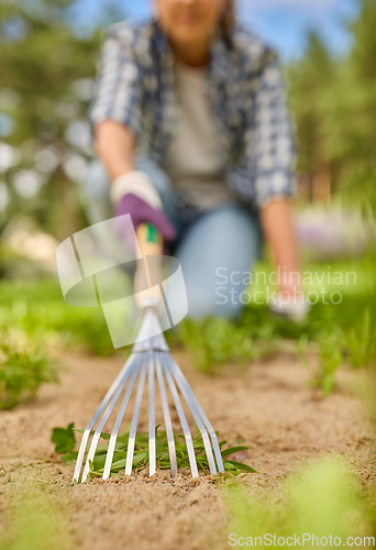 Image of woman weeding flowerbed with rake at summer garden