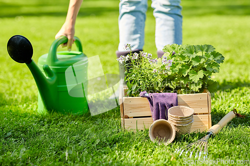 Image of woman with garden tools in wooden box at summer