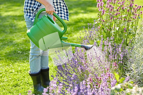 Image of young woman watering flowers at garden