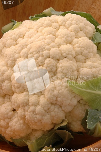 Image of cauliflower 257