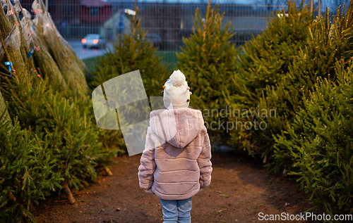 Image of little girl choosing christmas tree at market