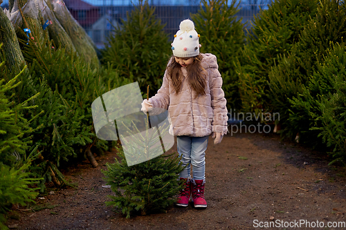 Image of little girl choosing christmas tree at market